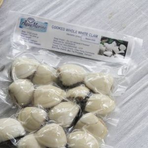 Frozen Cooked White Clams Vacuum Packing