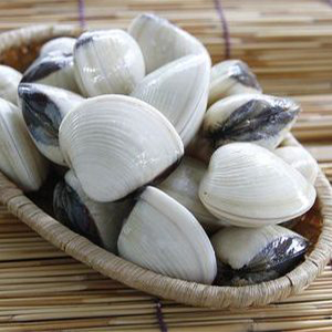 Frozen Cooked White Clams